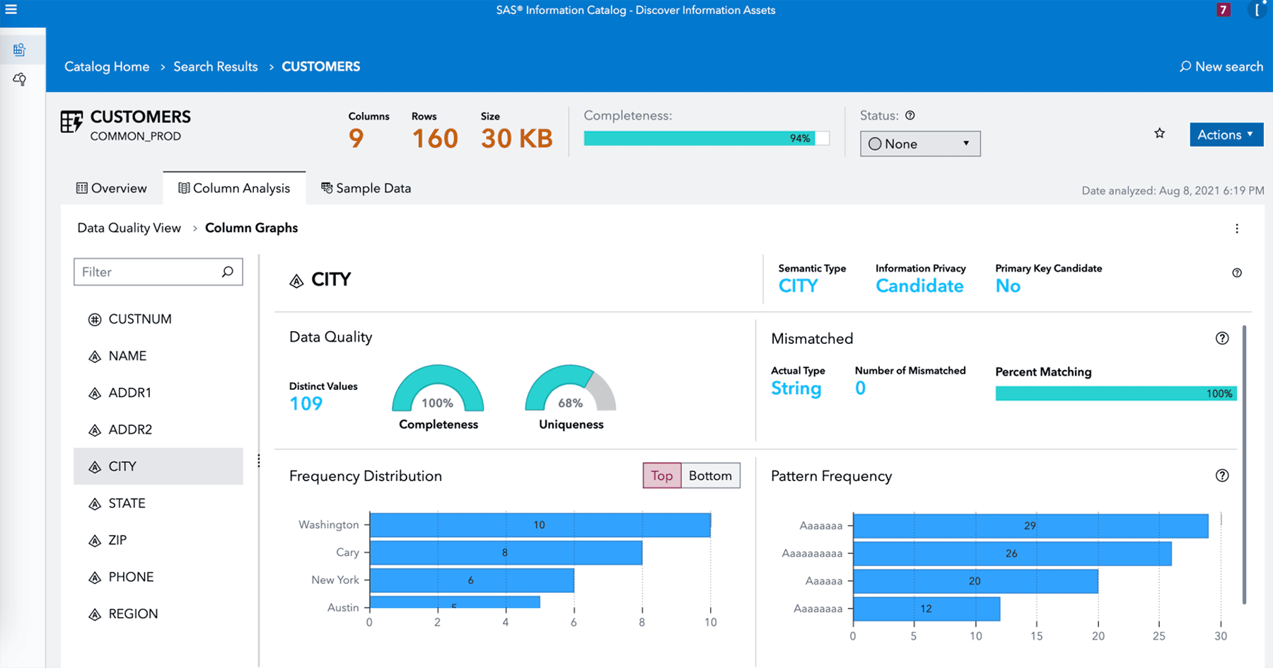 SAS Information Governance discovery information screenshot